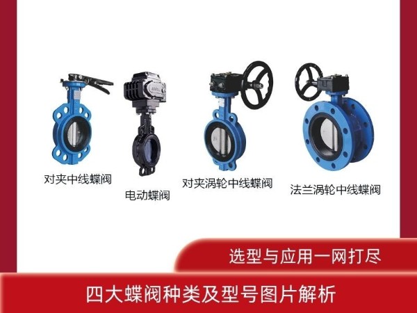 四大蝶閥種類(lèi)及型號(hào)圖片解析：選型與應(yīng)用一網(wǎng)打盡