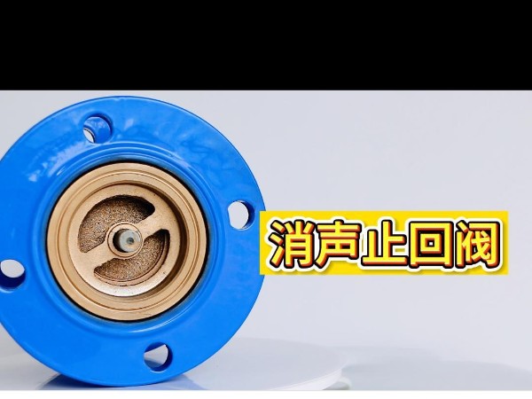 給水系統(tǒng)不同部位用什么止回閥比較好-艾德默閥門
