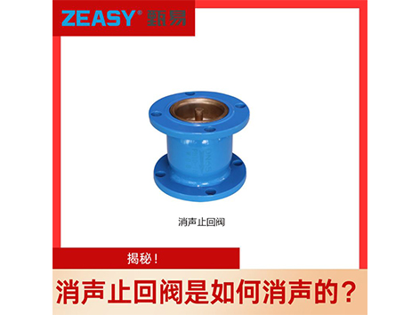 揭秘！消聲止回閥是如何消聲的？