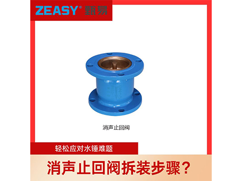 揭秘！艾德默閥門(mén)手把手教你拆裝消聲止回閥，輕松應(yīng)對(duì)水錘難題